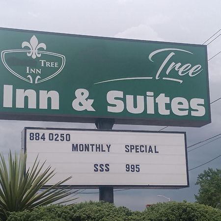 Tree Inn & Suites Albuquerque Ngoại thất bức ảnh